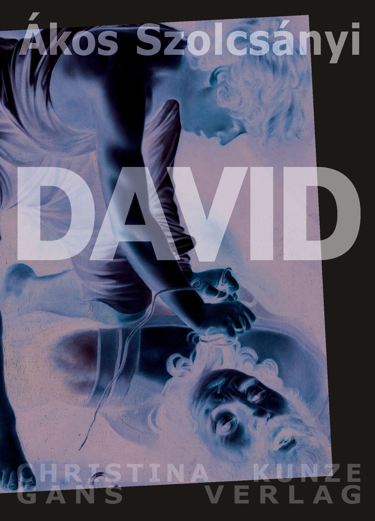 Vorderes Coverbild David