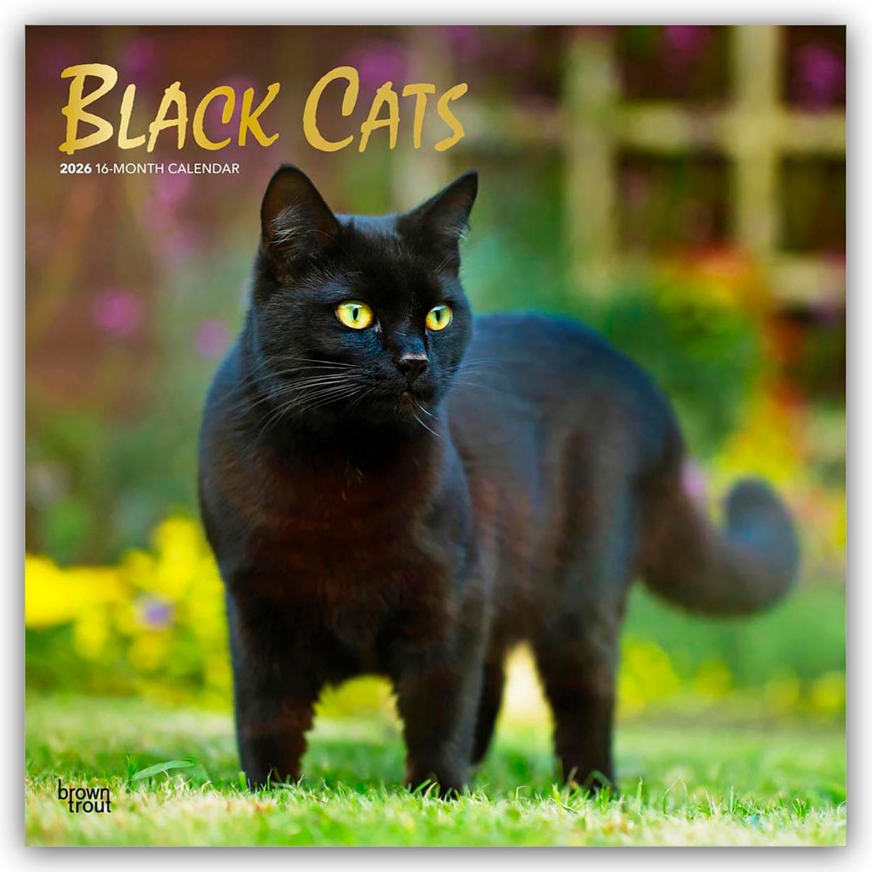 Vorderes Coverbild Black Cats - Schwarze Katzen 2026 - 16-Monatskalender
