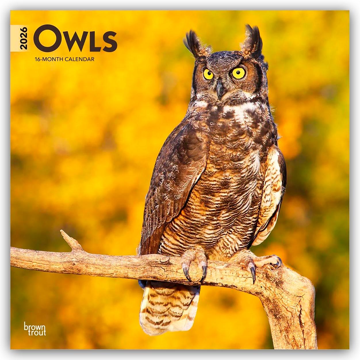Vorderes Coverbild Owls - Eulen 2026 - 16-Monatskalender
