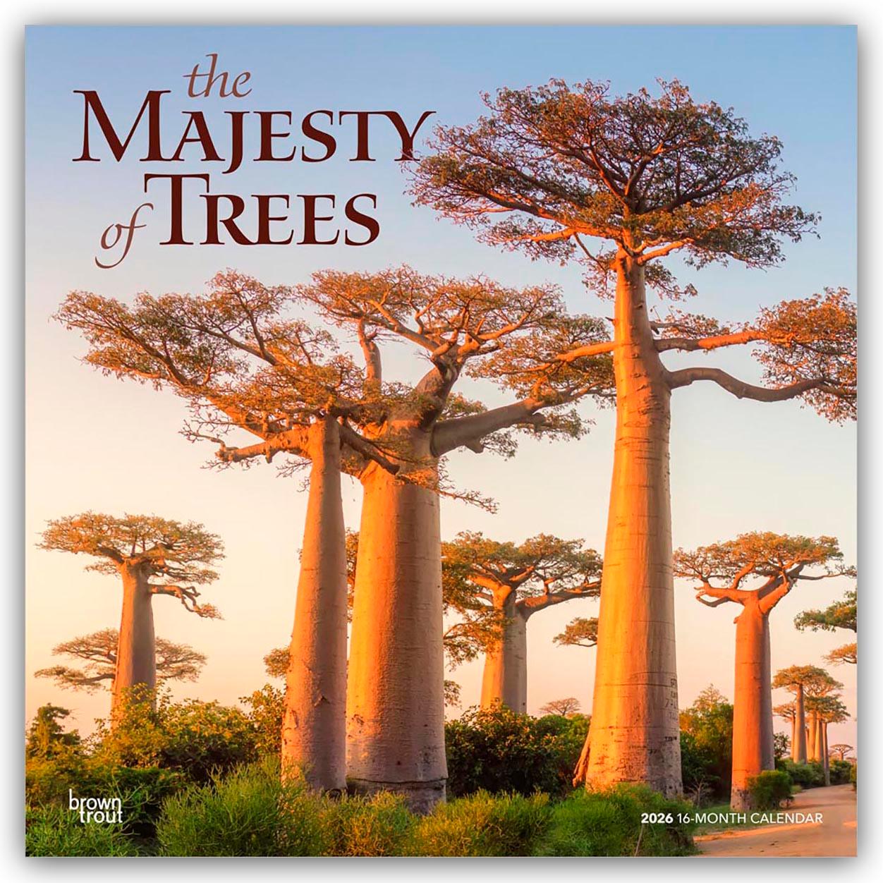Vorderes Coverbild The Majesty of Trees - Die Erhabenheit der Bäume 2026 - 16-Monatskalender