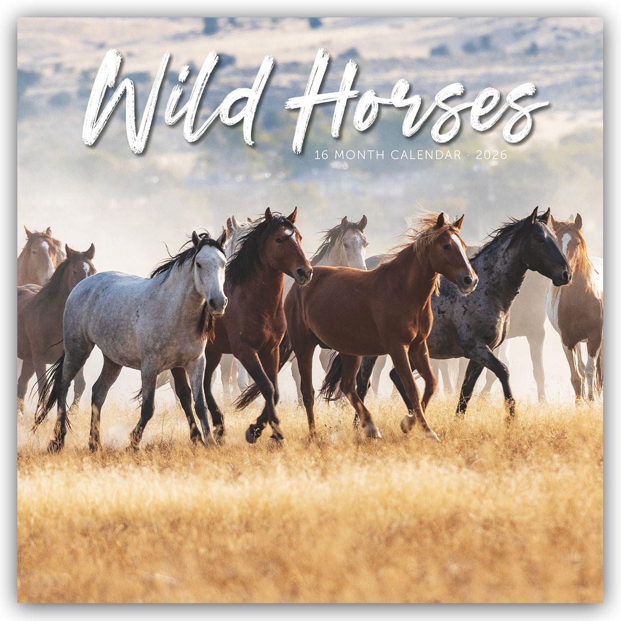 Vorderes Coverbild Wild Horses - Wildpferde 2026 - Wand-Kalender