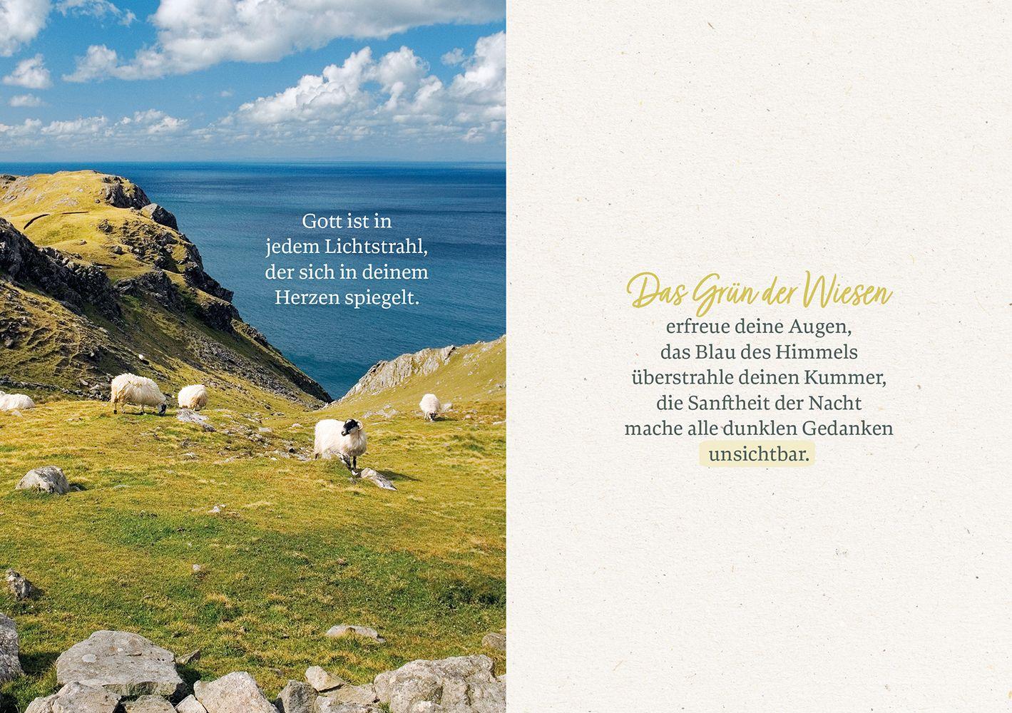 Beispielinhalt (Bild) Gott segne den Weg, auf dem du gehst