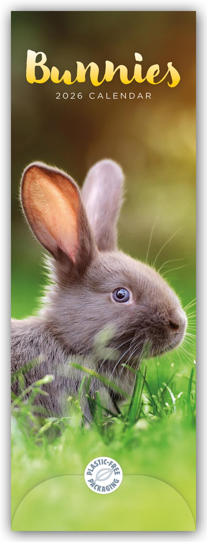 Vorderes Coverbild Bunnies - Hasen - Kaninchen 2026 - Slimline-Kalender