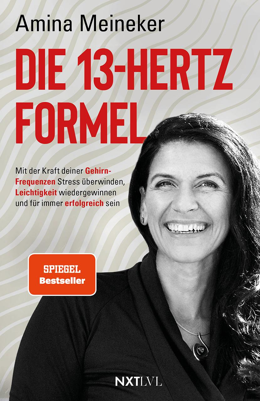 Vorderes Coverbild Die 13 Hertz Formel