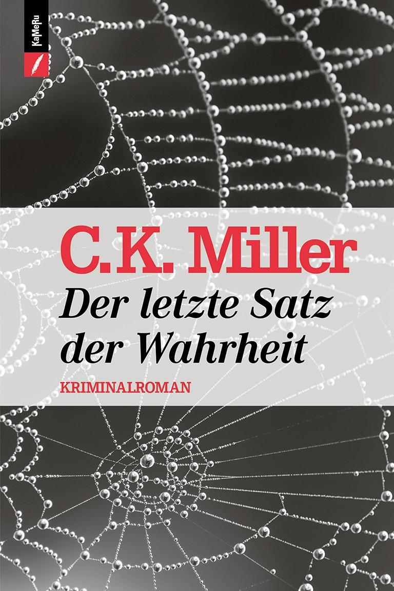 Vorderes Coverbild Der letzte Satz der Wahrheit