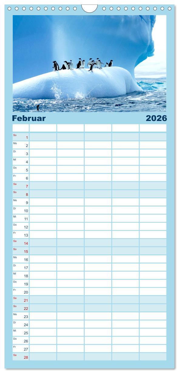 Beispielinhalt (Bild) Familienplaner 2026 - Kreuzfahrtpiraten mit 5 Spalten (Wandkalender, 21 x 45 cm) CALVENDO