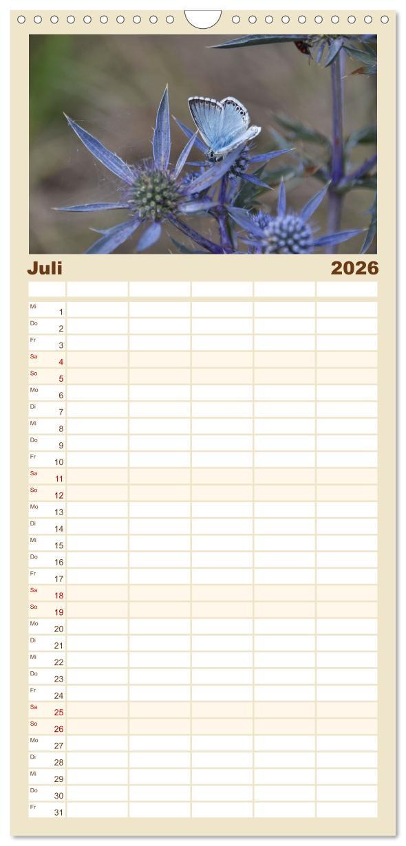 Beispielinhalt (Bild) Familienplaner 2026 - Abruzzen - wild und romantisch mit 5 Spalten (Wandkalender, 21 x 45 cm) CALVENDO