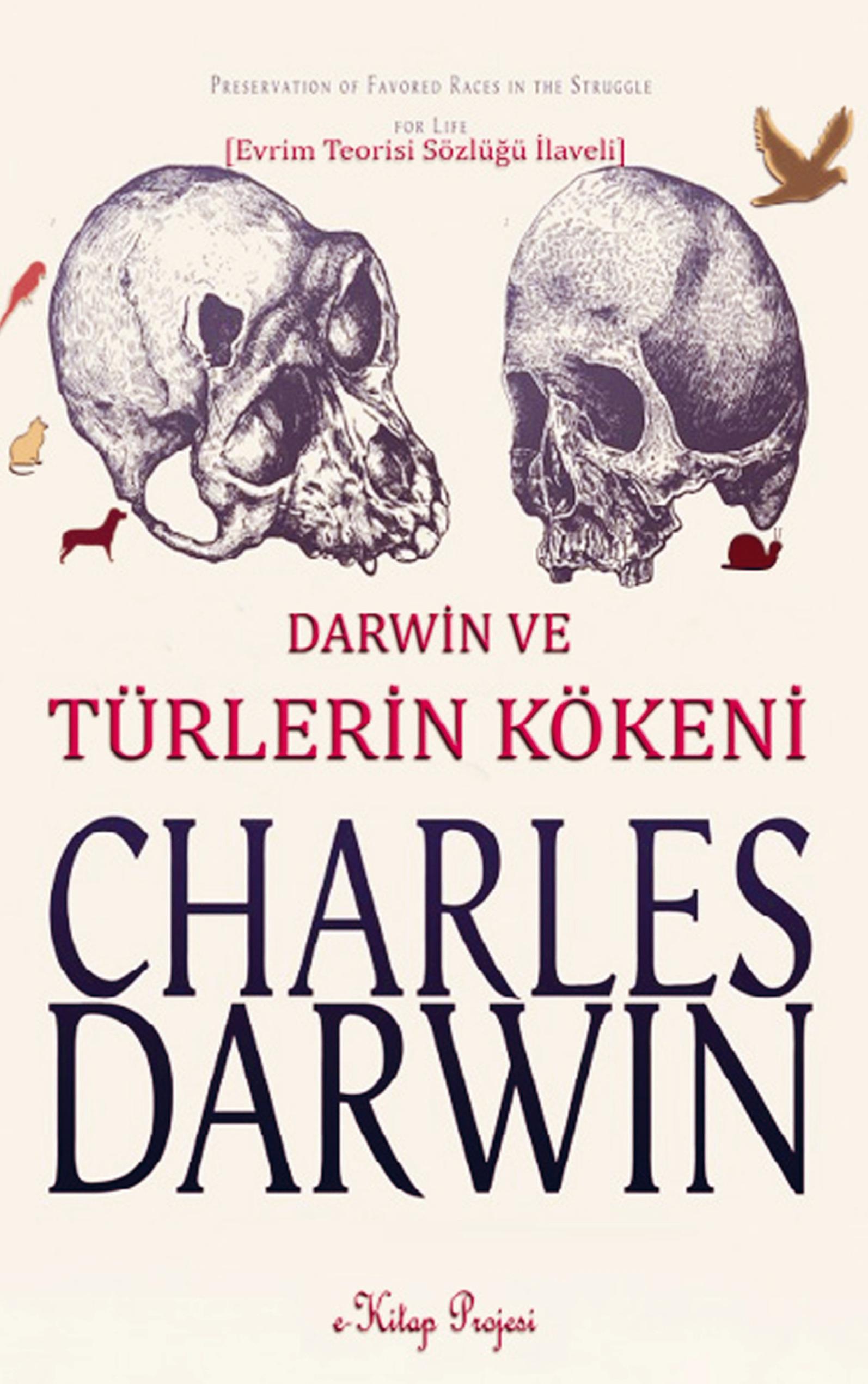 Vorderes Coverbild Türlerin Kökeni