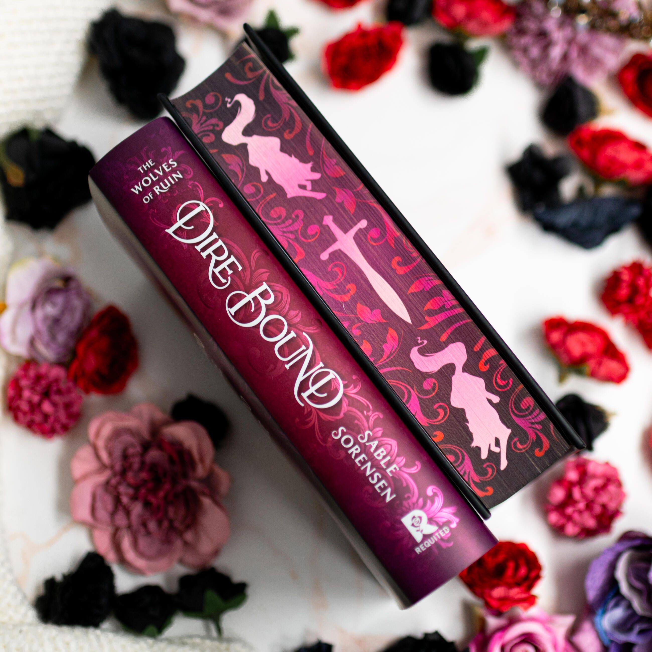 Beispielinhalt (Bild) Dire Bound (Deluxe Limited Edition)