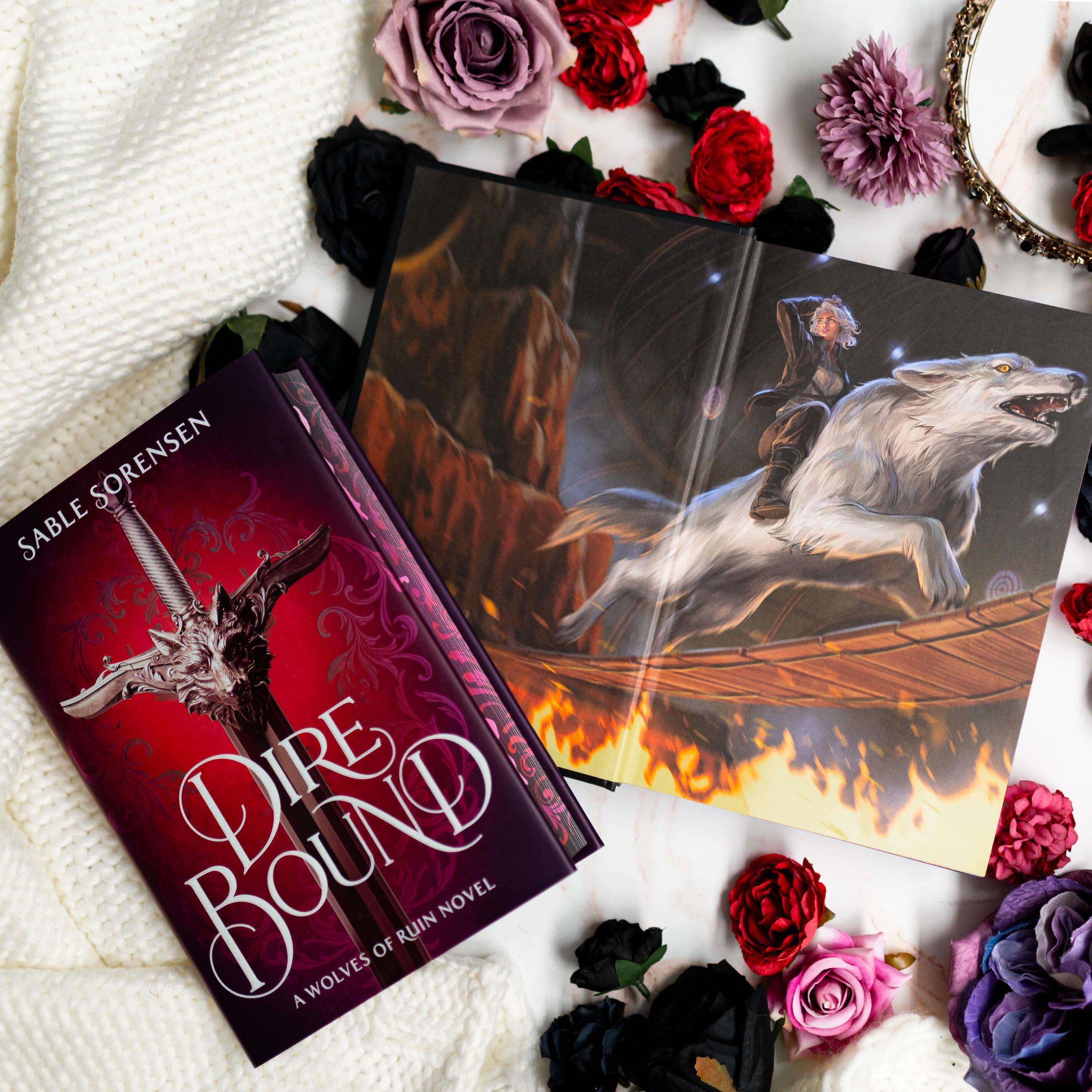 Beispielinhalt (Bild) Dire Bound (Deluxe Limited Edition)