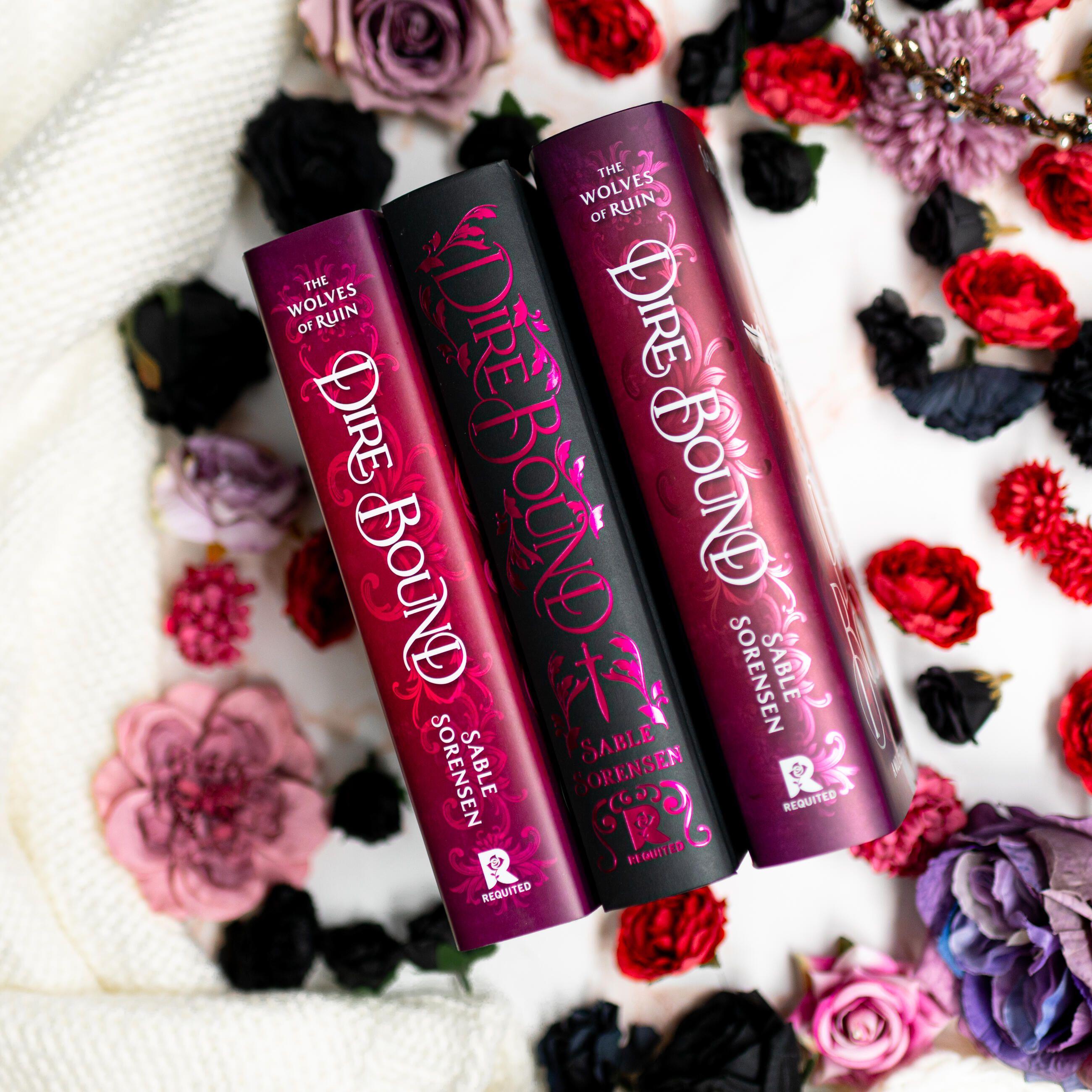 Beispielinhalt (Bild) Dire Bound (Deluxe Limited Edition)