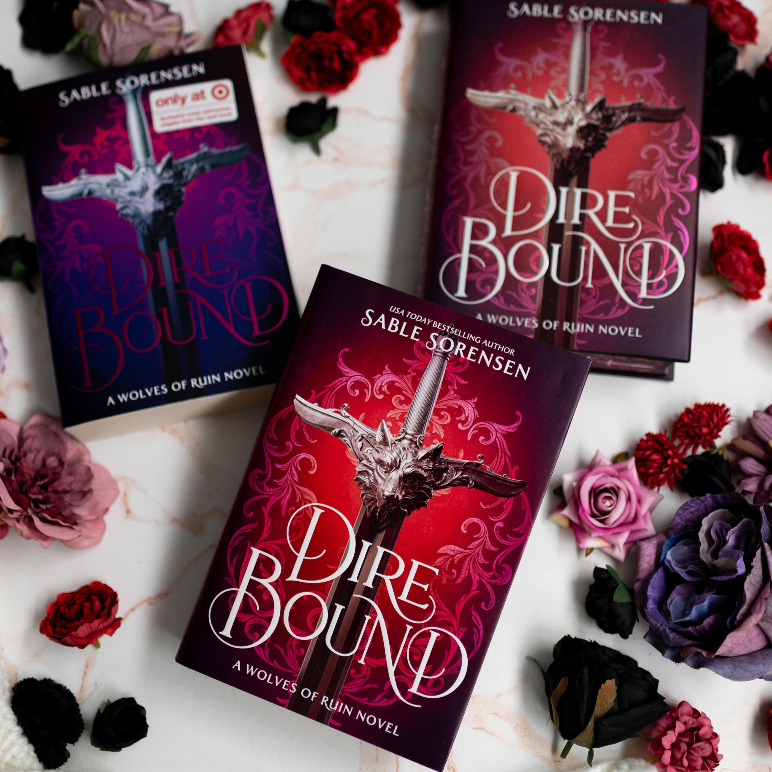 Beispielinhalt (Bild) Dire Bound (Standard Edition)