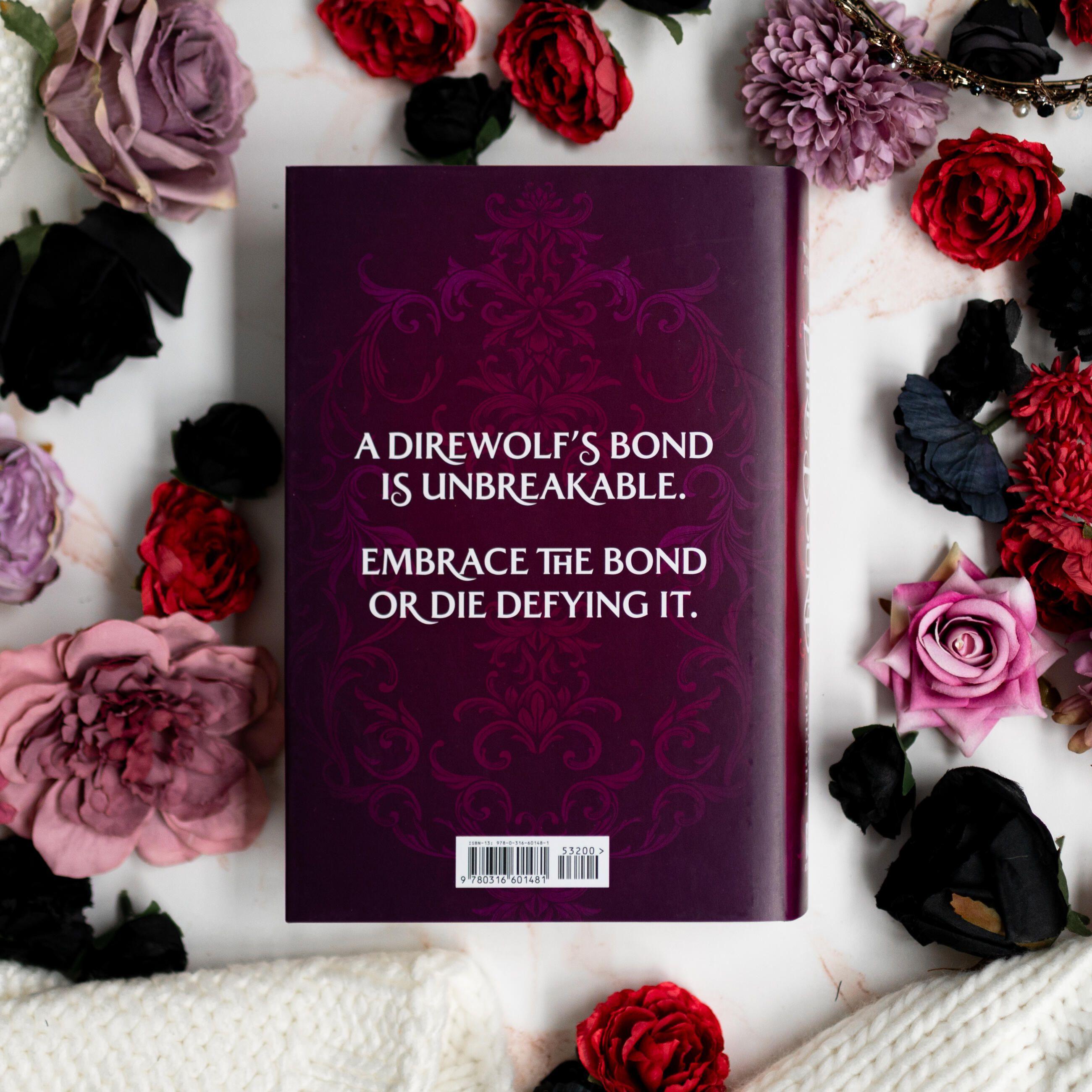 Beispielinhalt (Bild) Dire Bound (Standard Edition)