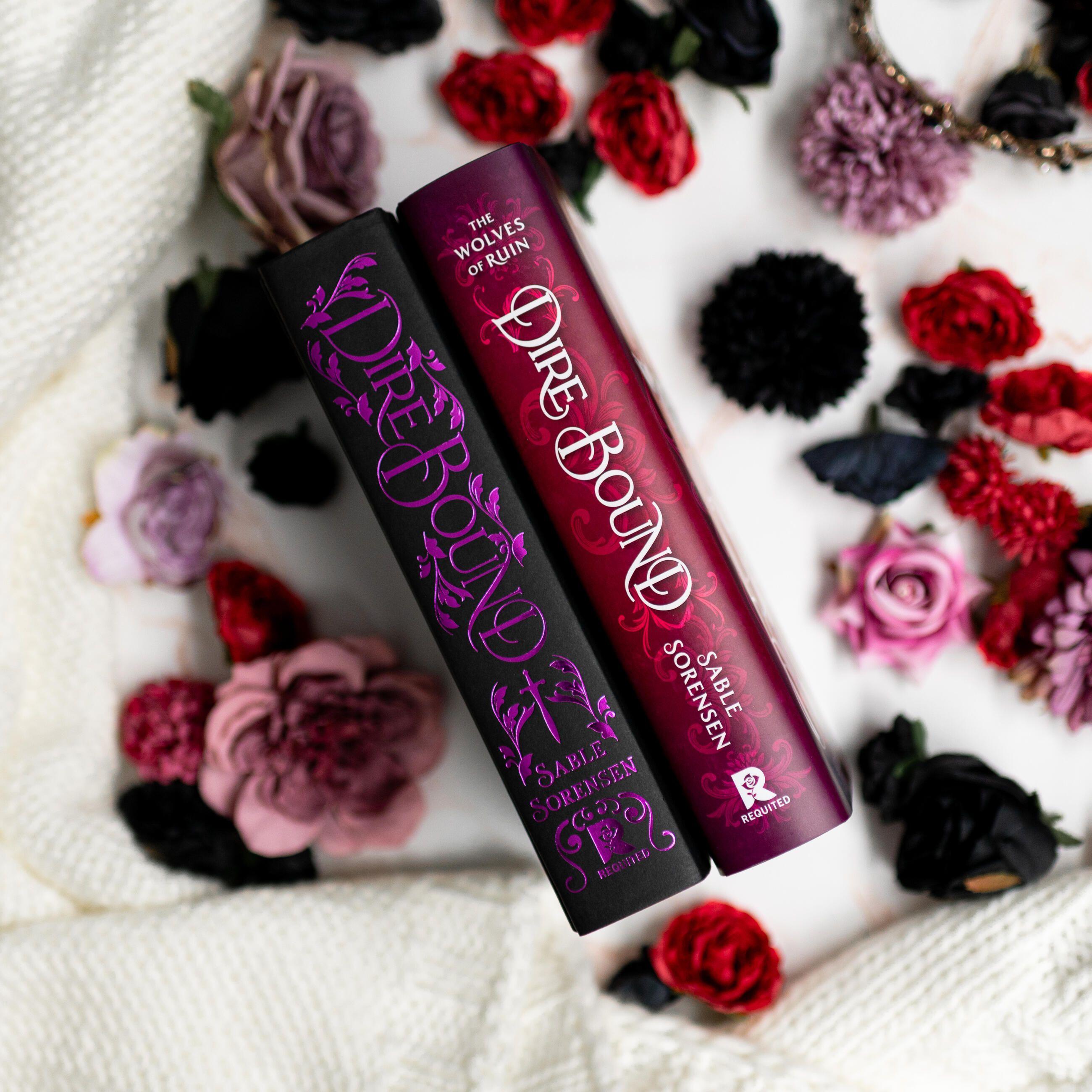 Beispielinhalt (Bild) Dire Bound (Standard Edition)