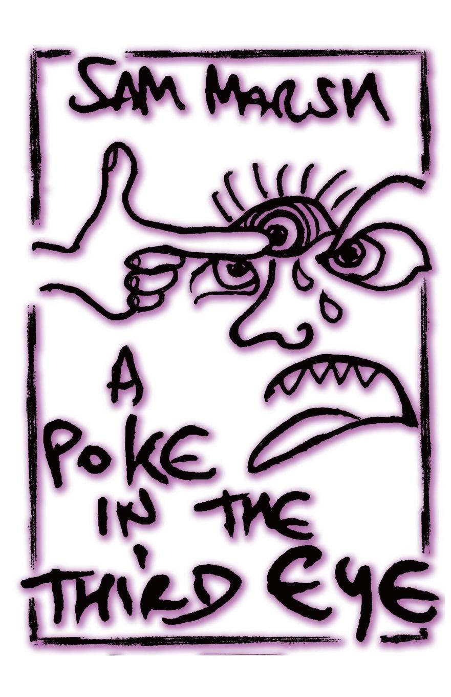 Vorderes Coverbild A Poke In The Third Eye