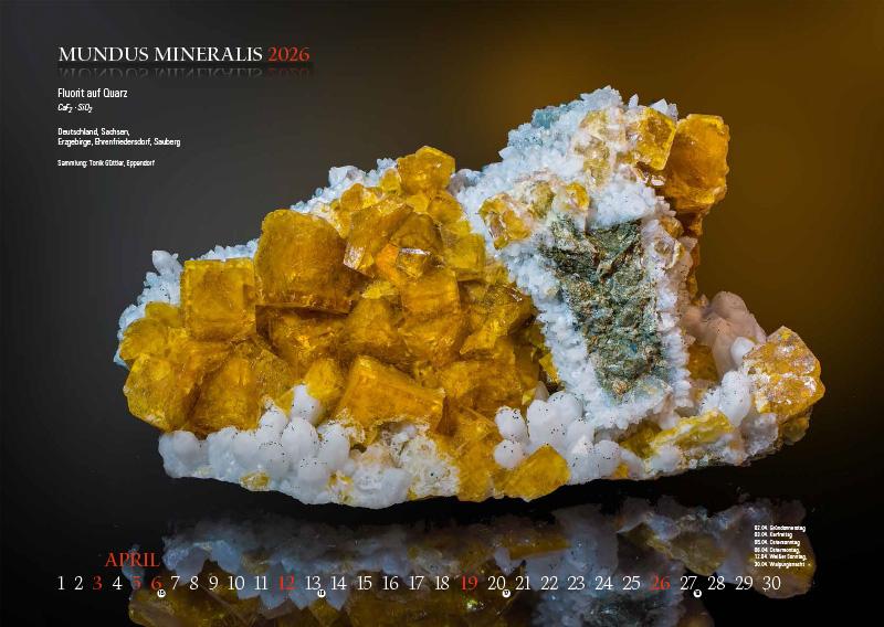 Beispielinhalt (Bild) MUNDUS MINERALIS 2026