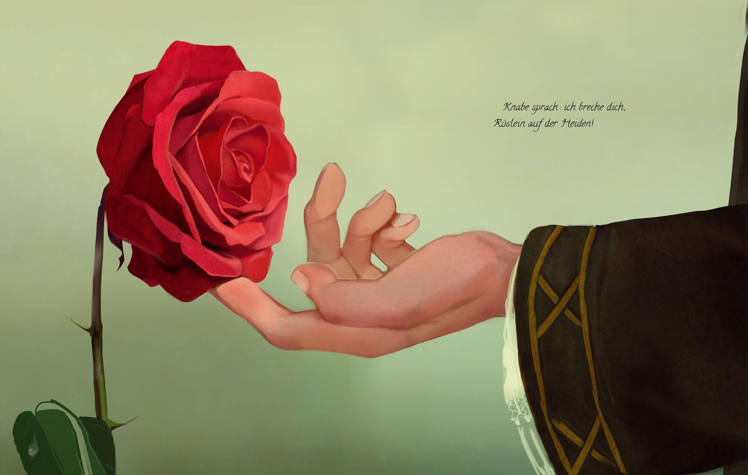 Beispielinhalt (Bild) Heidenröslein