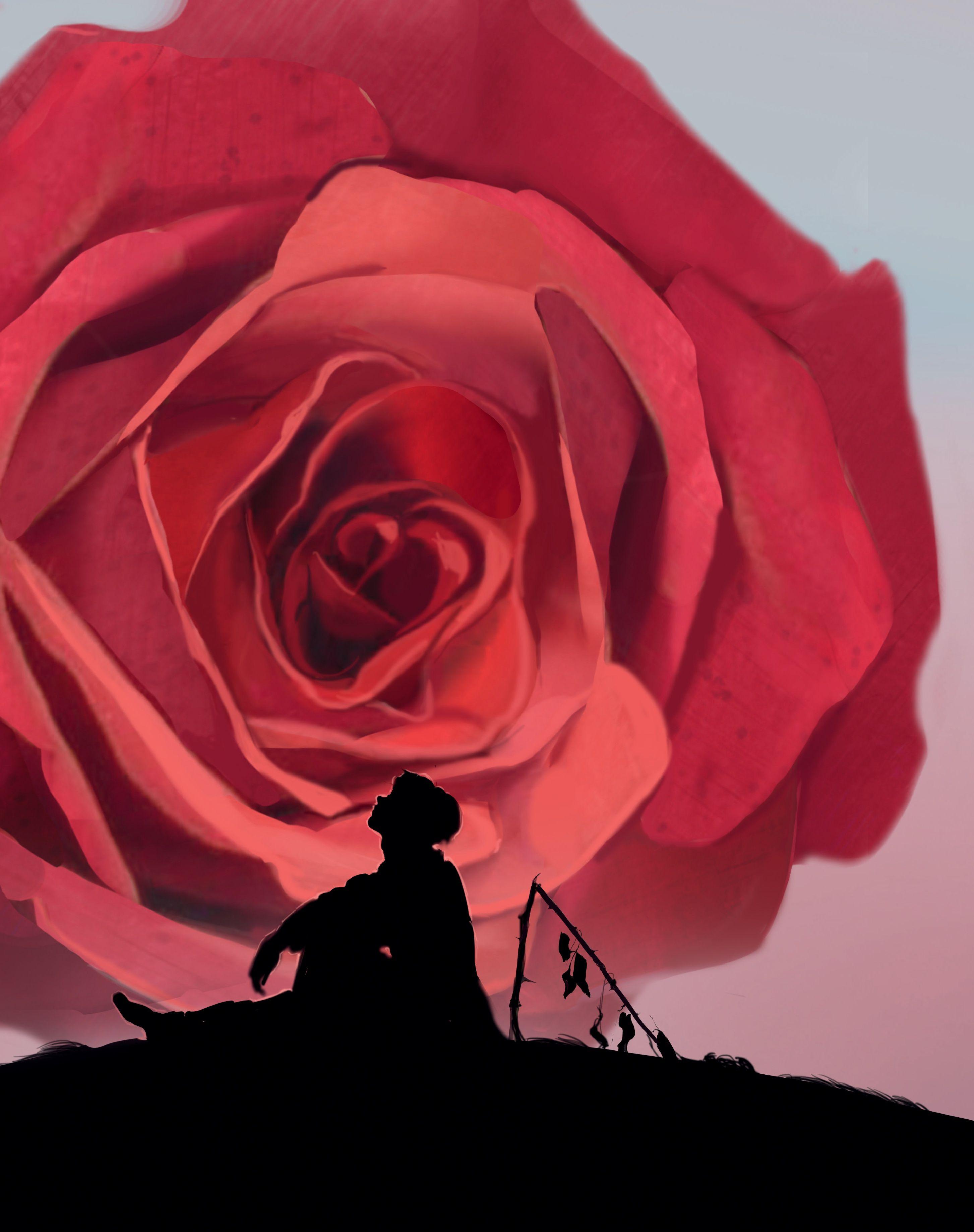 Beispielinhalt (Bild) Heidenröslein