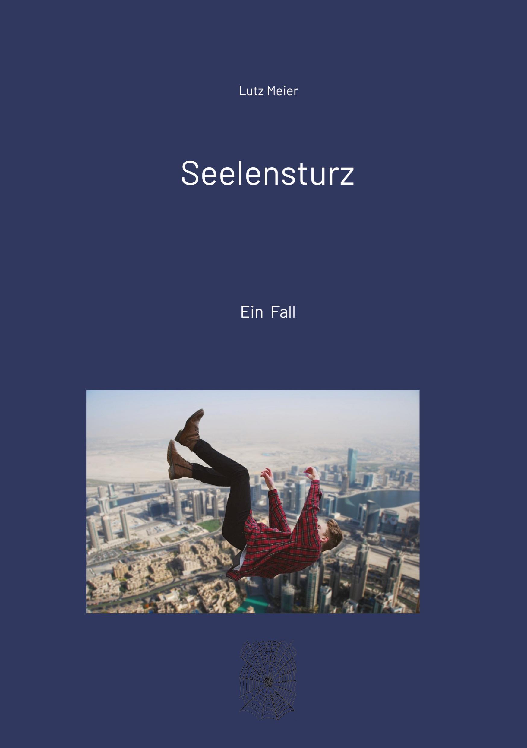 Vorderes Coverbild Seelensturz