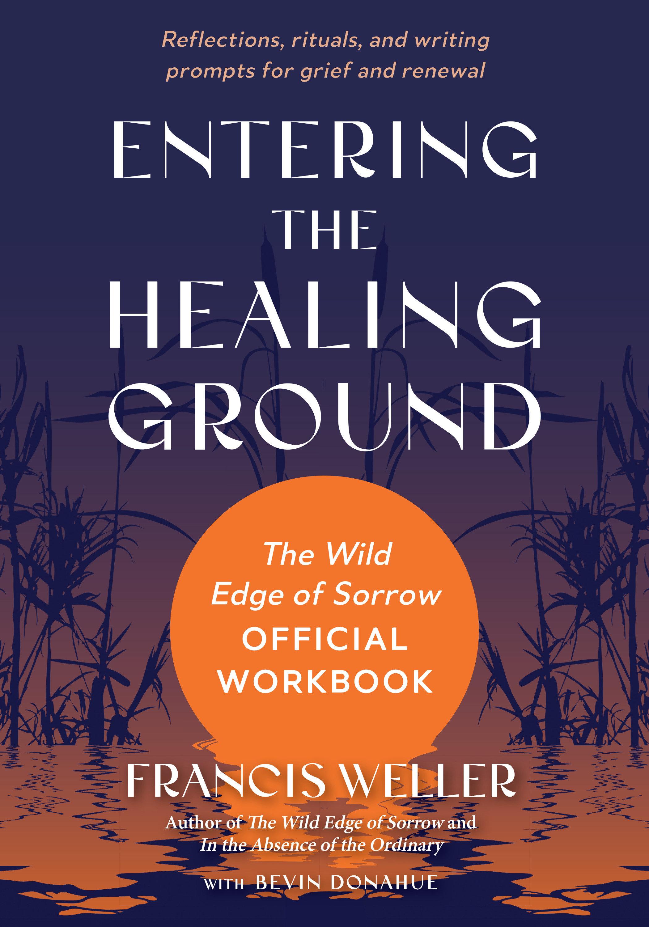 Vorderes Coverbild Entering the Healing Ground