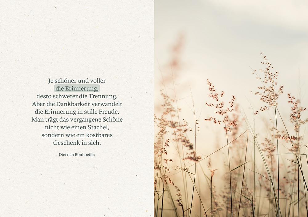 Beispielinhalt (Bild) Du tröstest mich