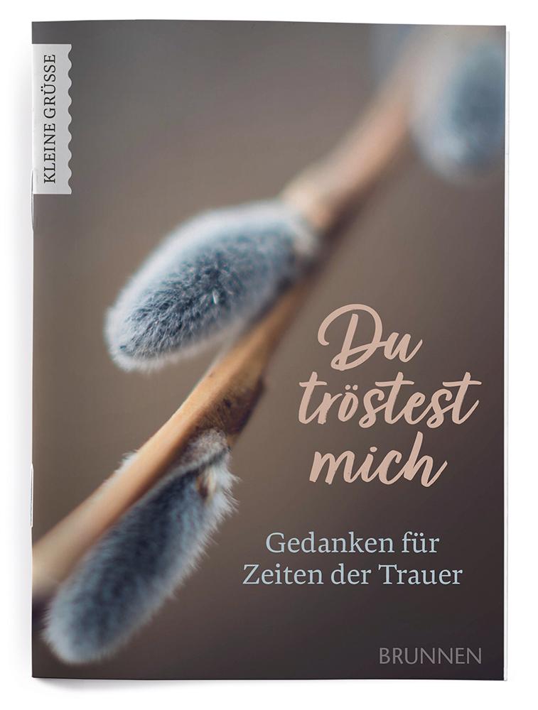 Beispielinhalt (Bild) Du tröstest mich