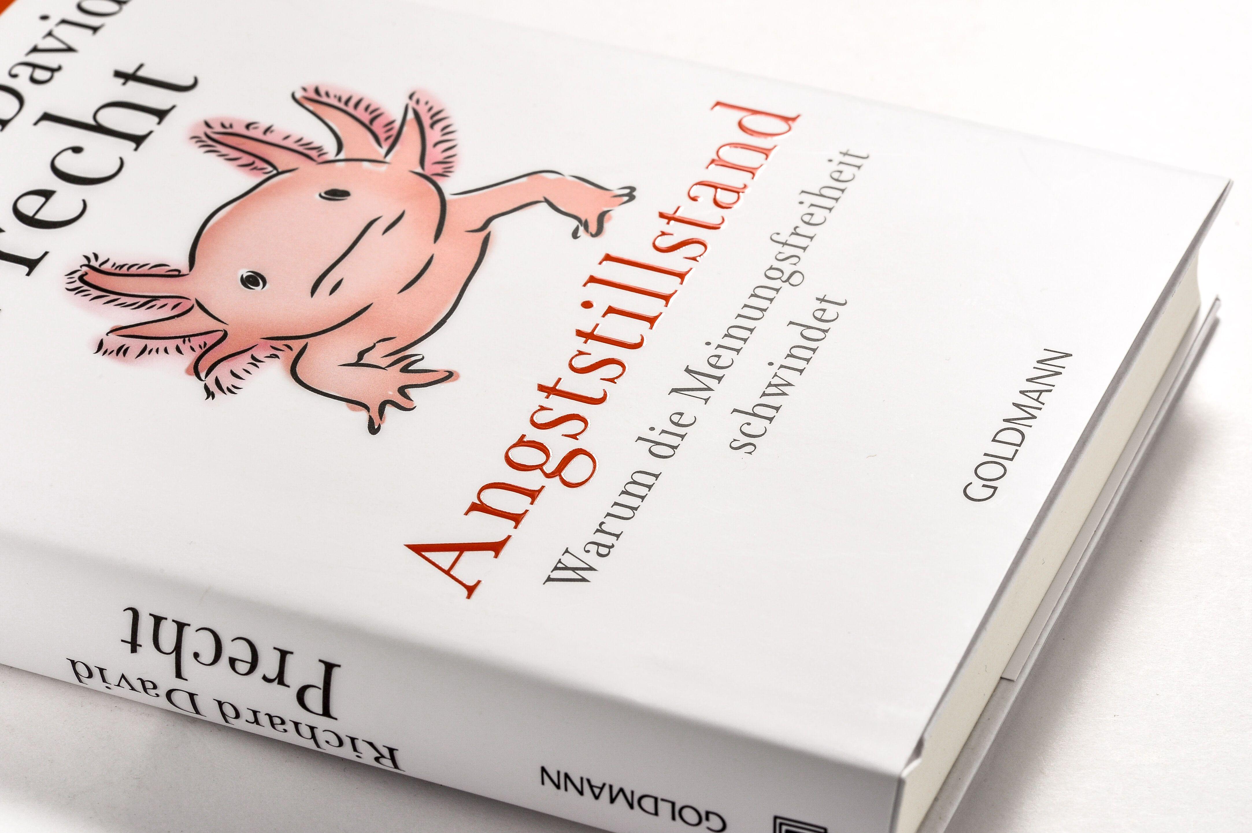 Beispielinhalt (Bild) Angststillstand