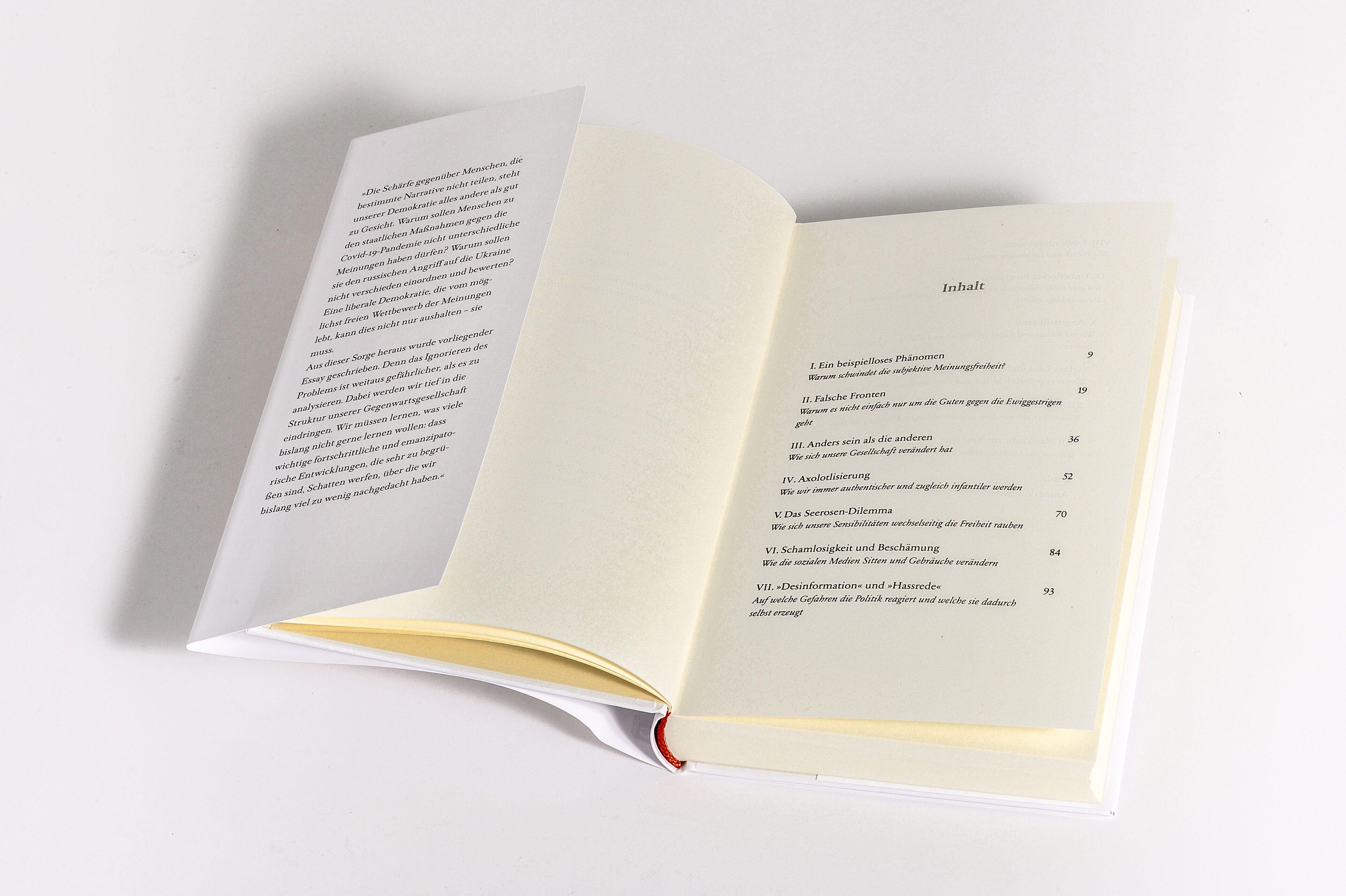 Beispielinhalt (Bild) Angststillstand