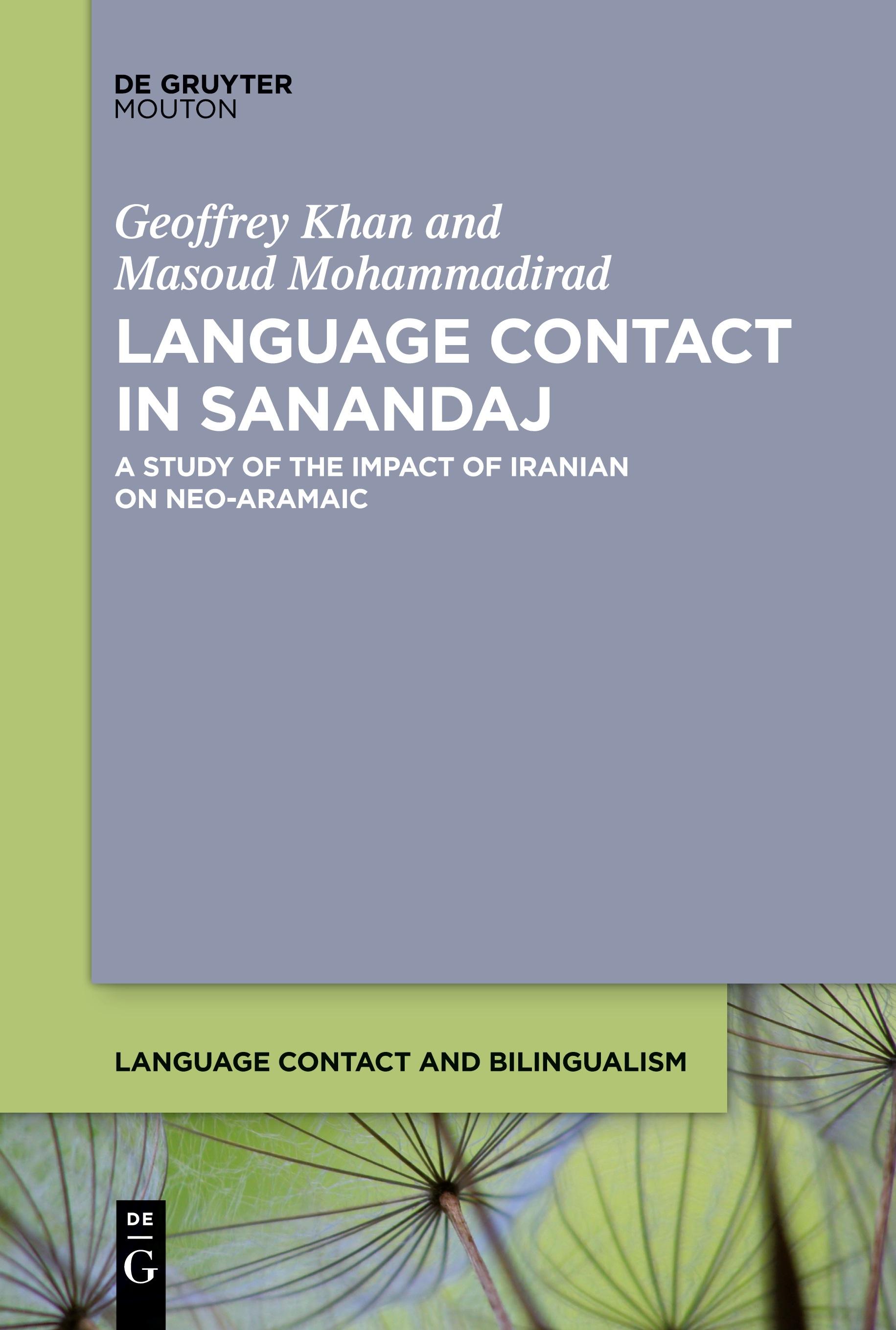 Vorderes Coverbild Language Contact in Sanandaj