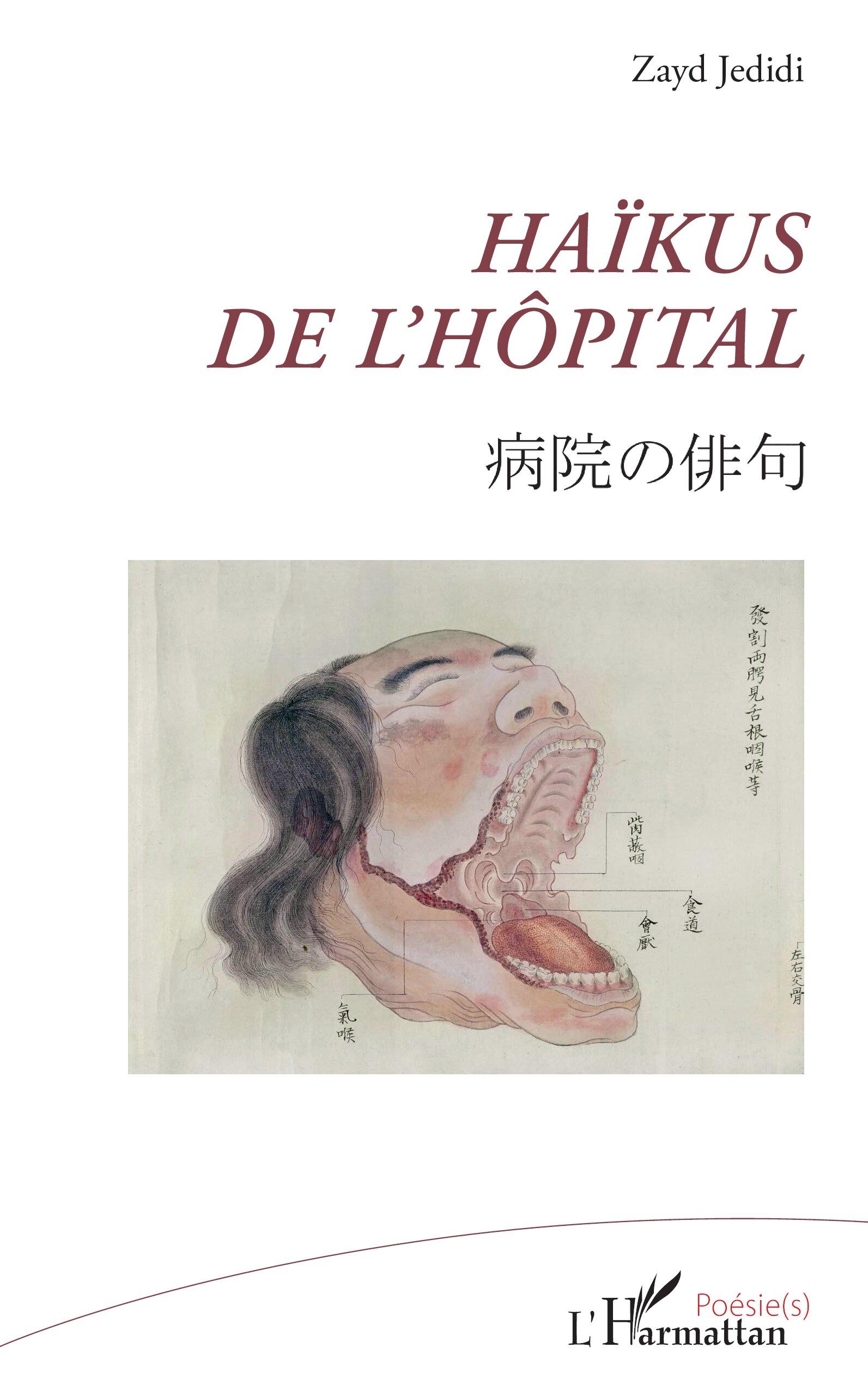 Vorderes Coverbild Haïkus de l'hôpital