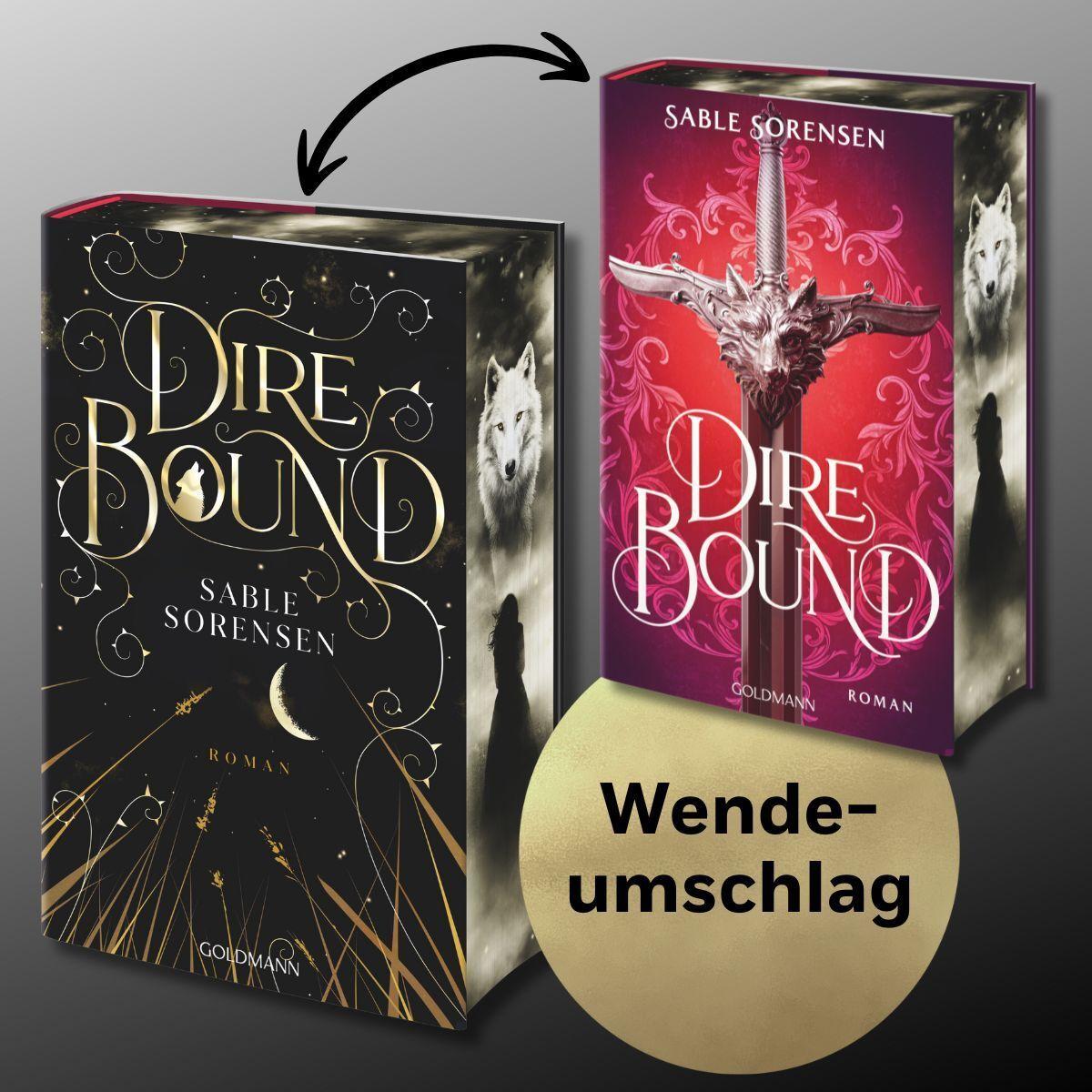 Beispielinhalt (Bild) Dire Bound