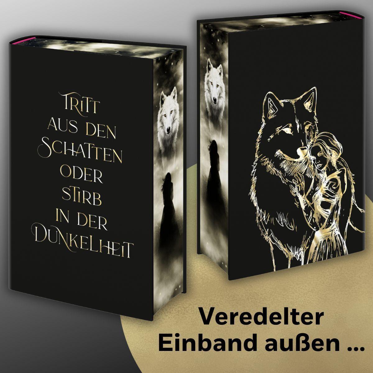 Beispielinhalt (Bild) Dire Bound