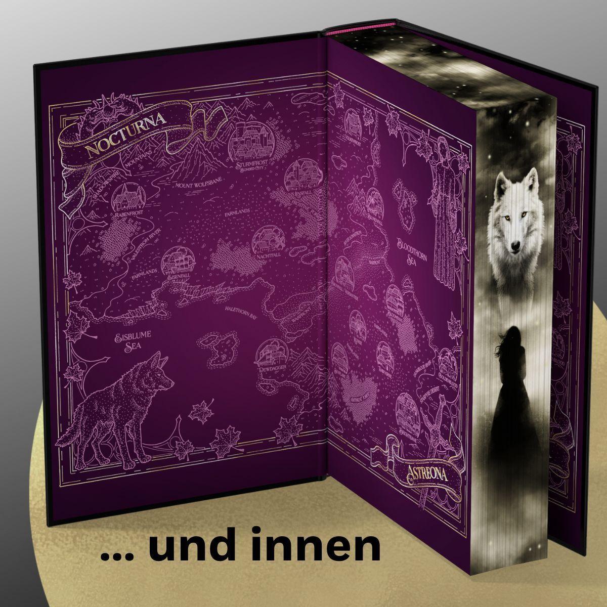 Beispielinhalt (Bild) Dire Bound
