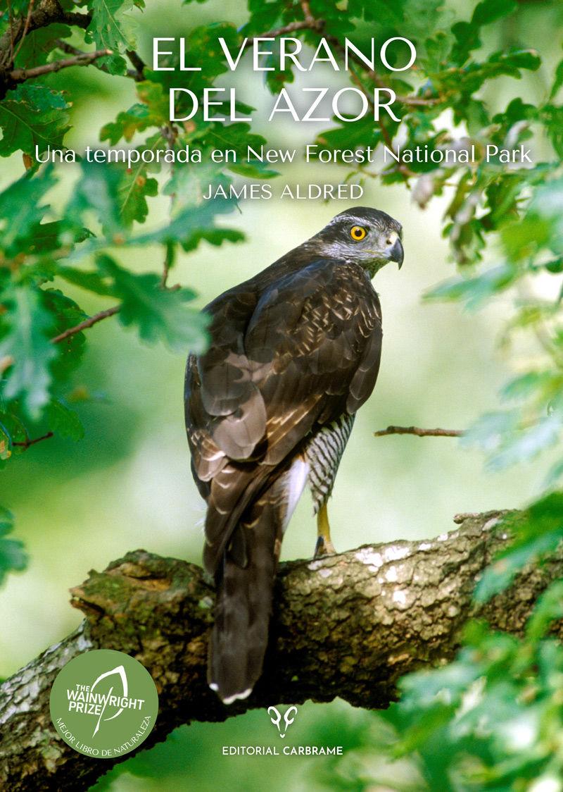 Beispielinhalt (Bild) El Verano del Azor