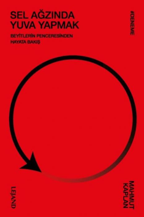 Vorderes Coverbild Sel Agzinda Yuva Yapmak