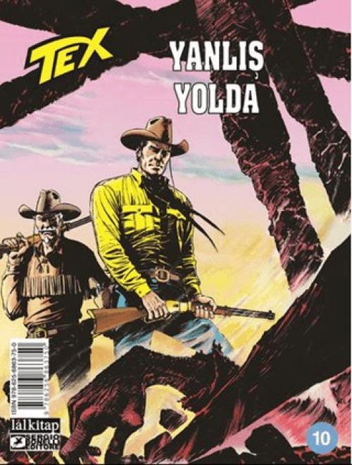 Vorderes Coverbild Tex Sayi 10