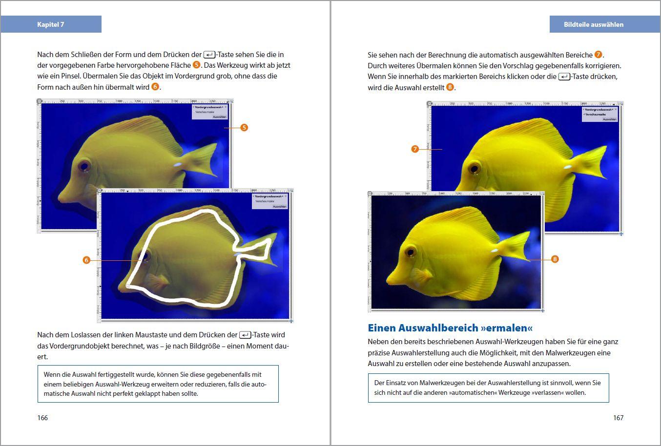 Beispielinhalt (Bild) GIMP 3 - Einstieg und Praxis