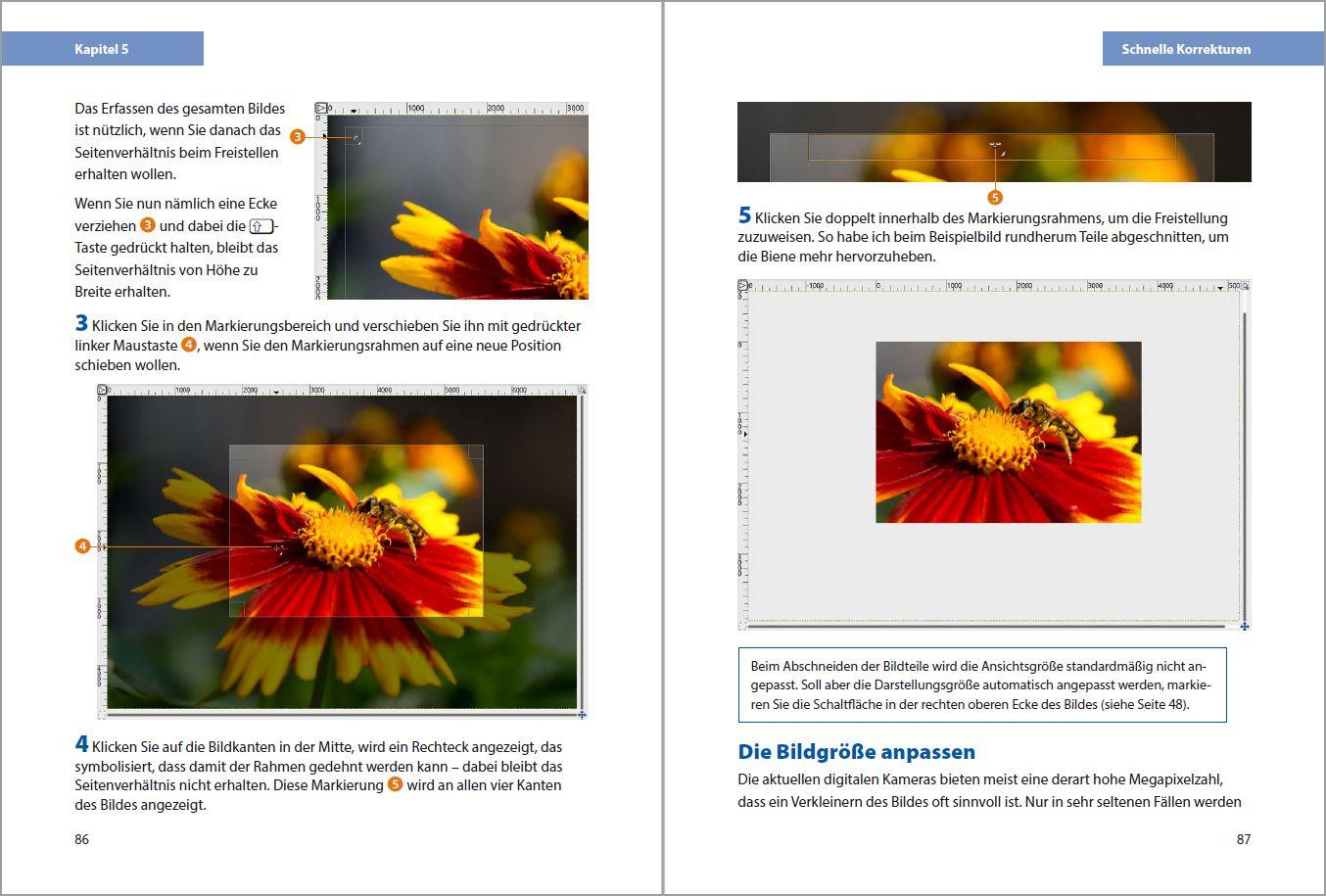 Beispielinhalt (Bild) GIMP 3 - Einstieg und Praxis