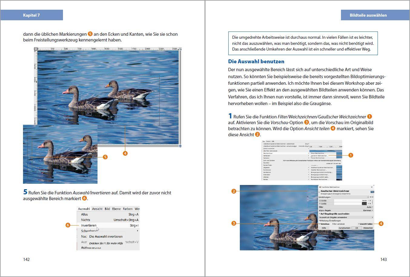 Beispielinhalt (Bild) GIMP 3 - Einstieg und Praxis