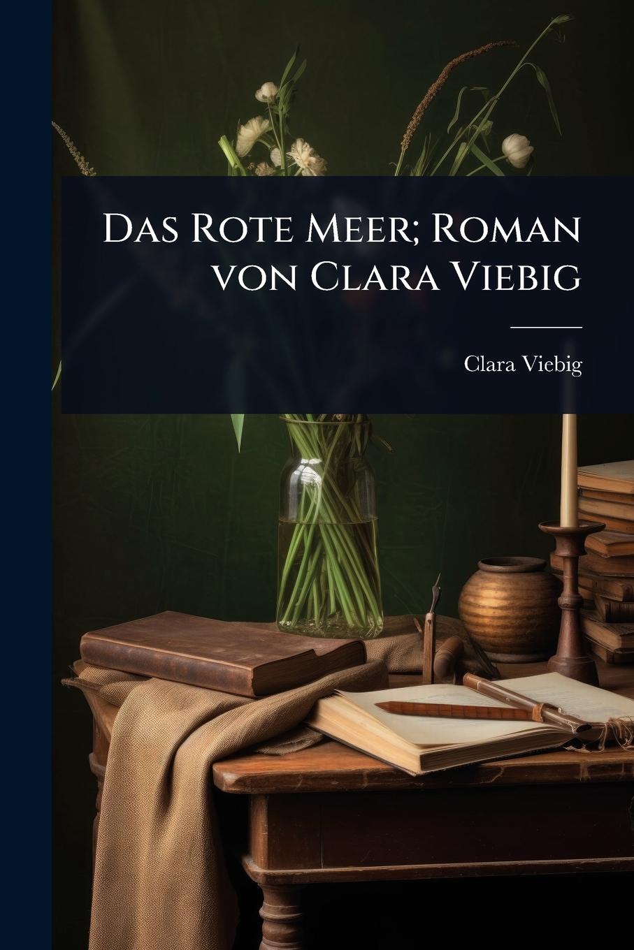 Vorderes Coverbild Das Rote Meer; Roman von Clara Viebig