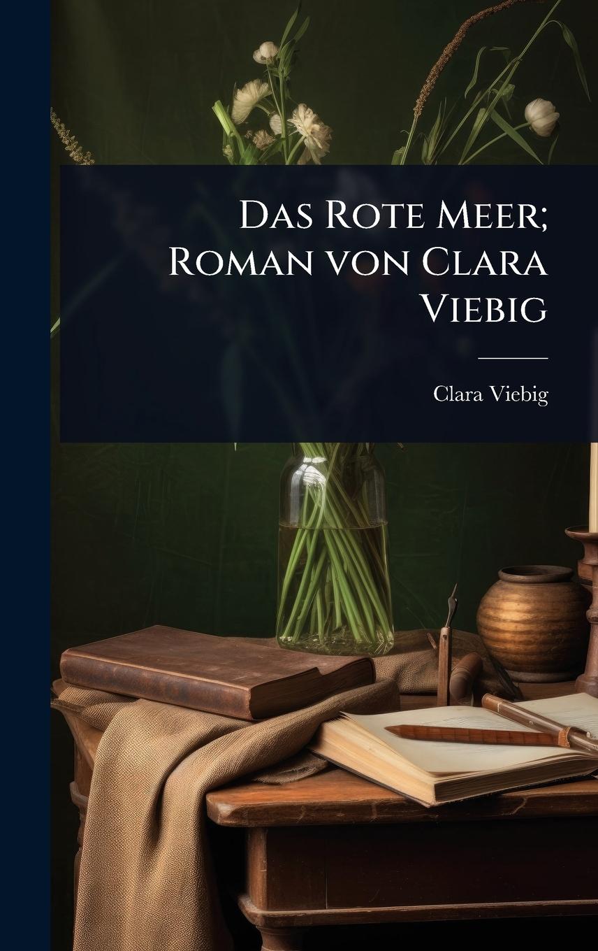 Vorderes Coverbild Das Rote Meer; Roman von Clara Viebig