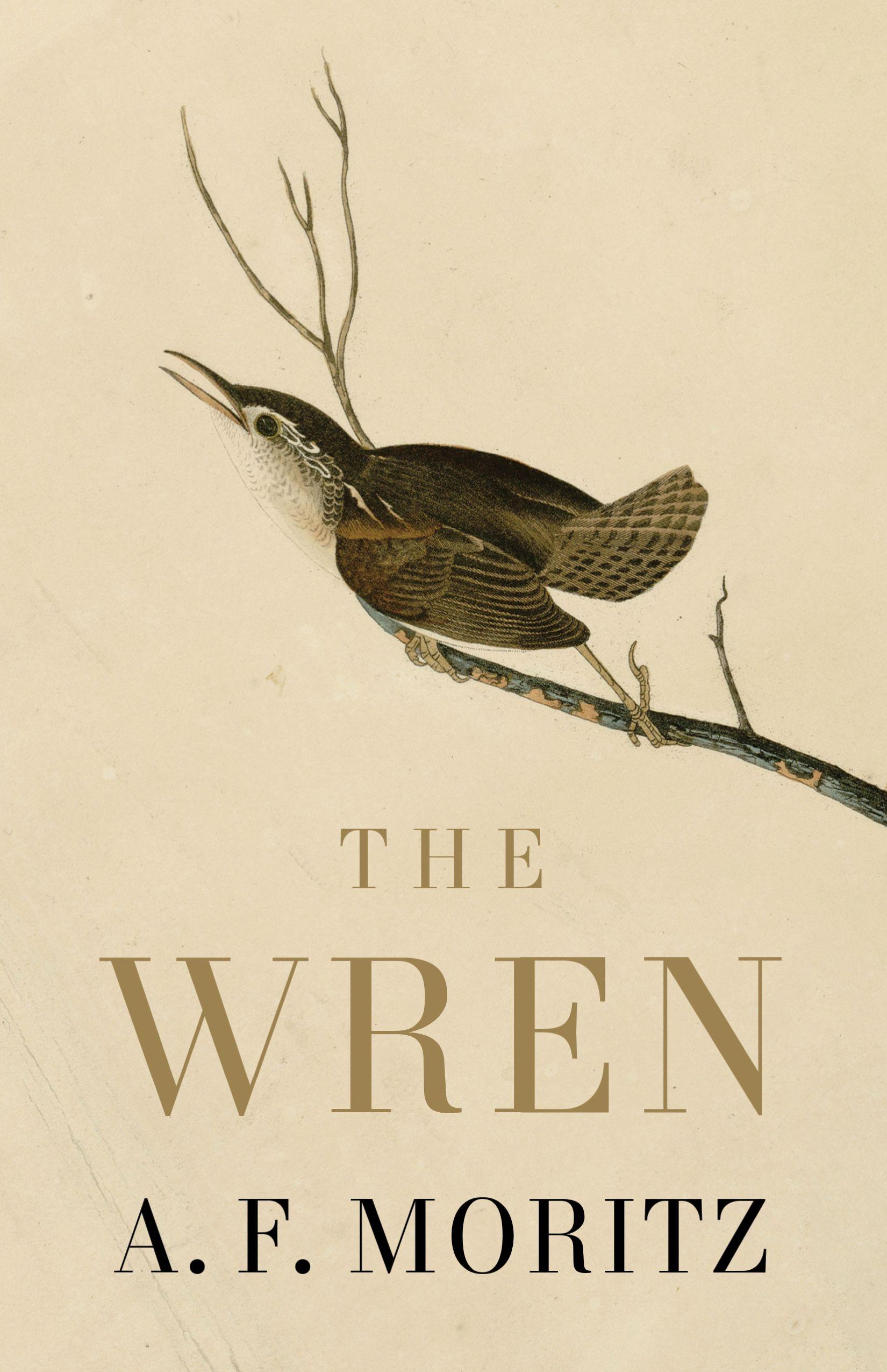 Vorderes Coverbild The Wren
