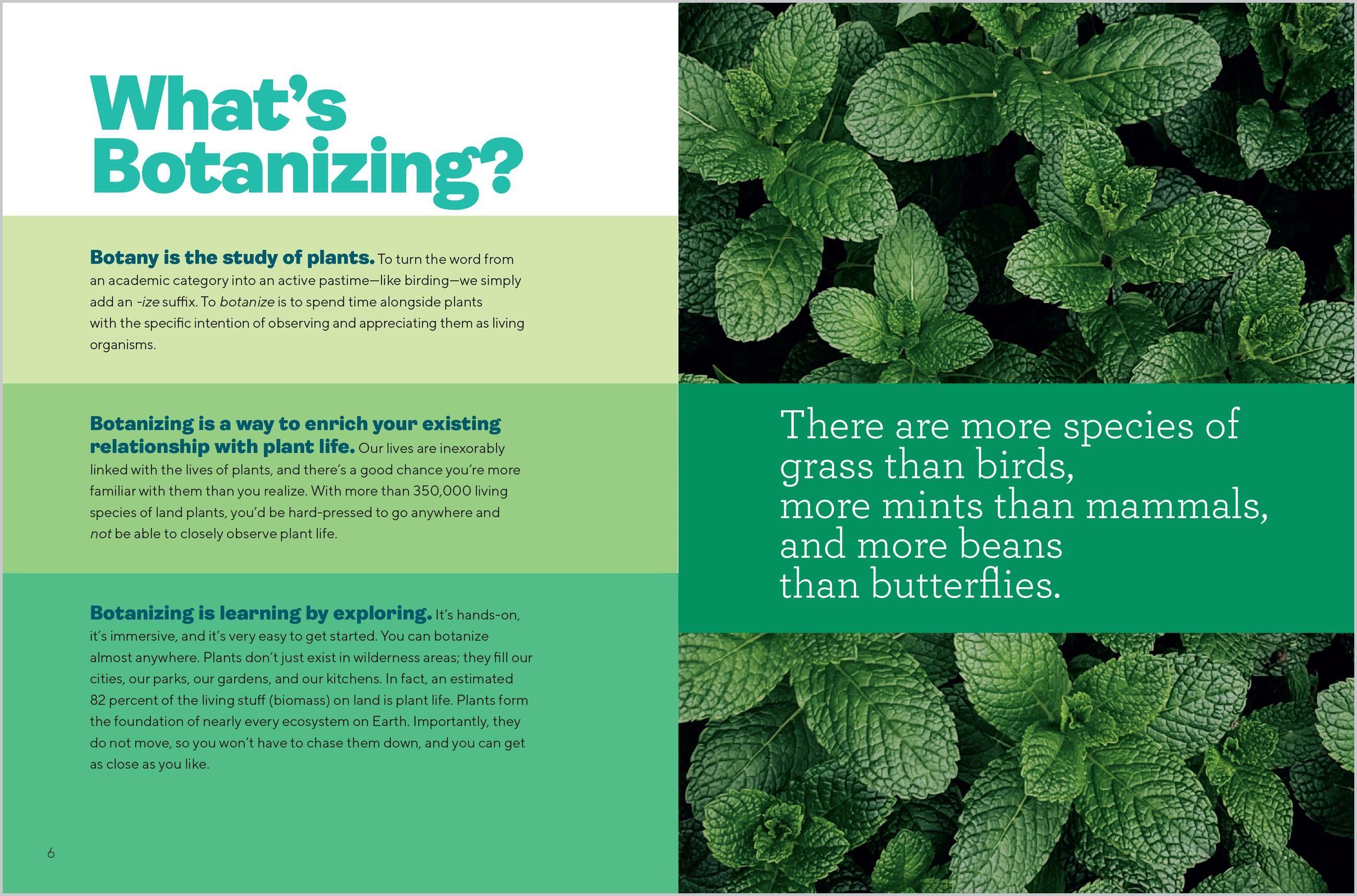 Beispielinhalt (Bild) Let's Botanize