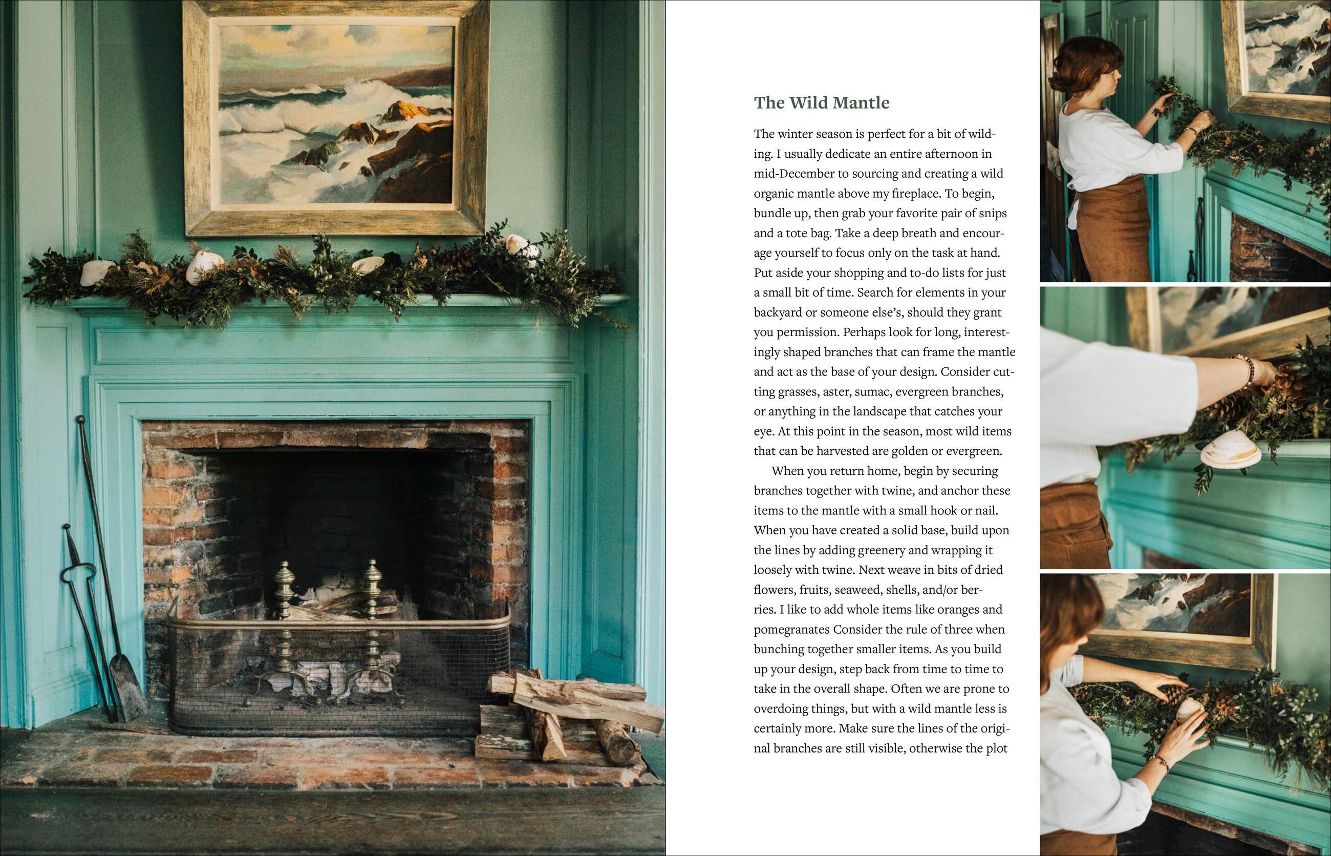 Beispielinhalt (Bild) The Beginner's Cut Flower Garden