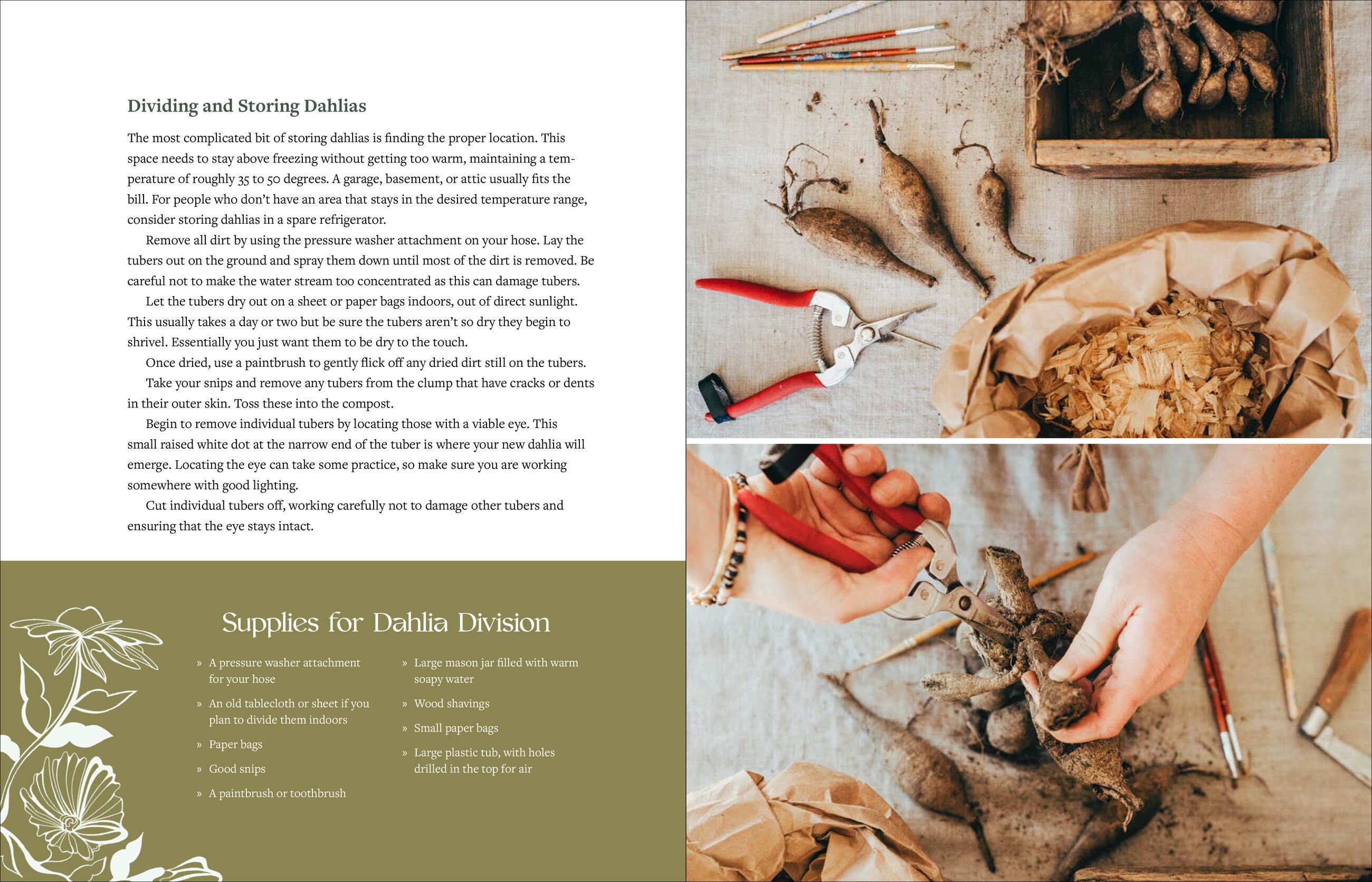 Beispielinhalt (Bild) The Beginner's Cut Flower Garden