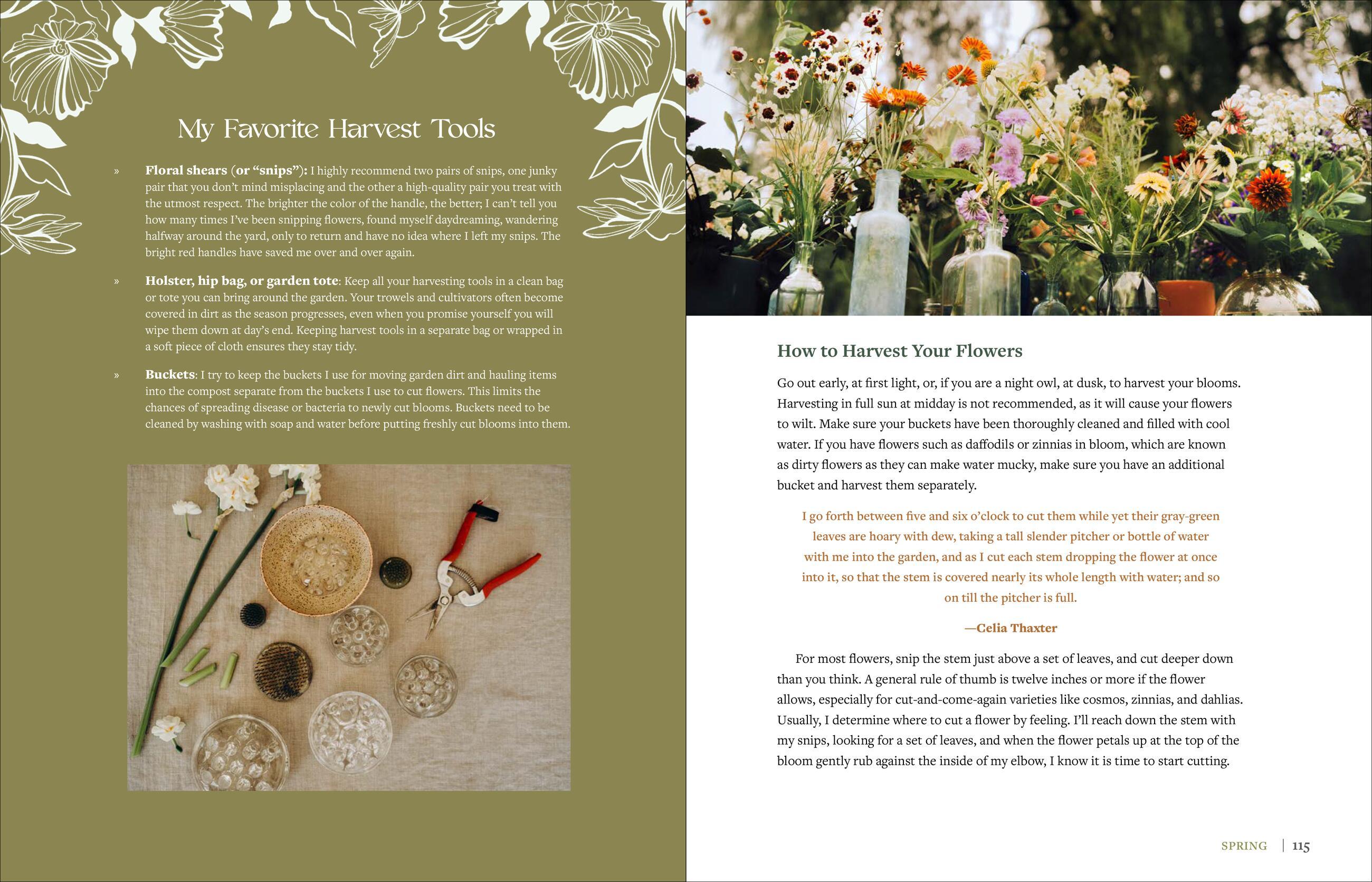 Beispielinhalt (Bild) The Beginner's Cut Flower Garden