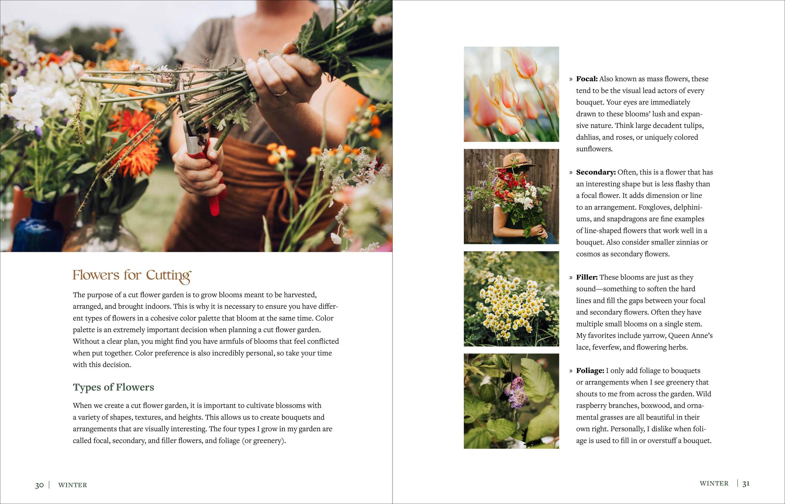 Beispielinhalt (Bild) The Beginner's Cut Flower Garden