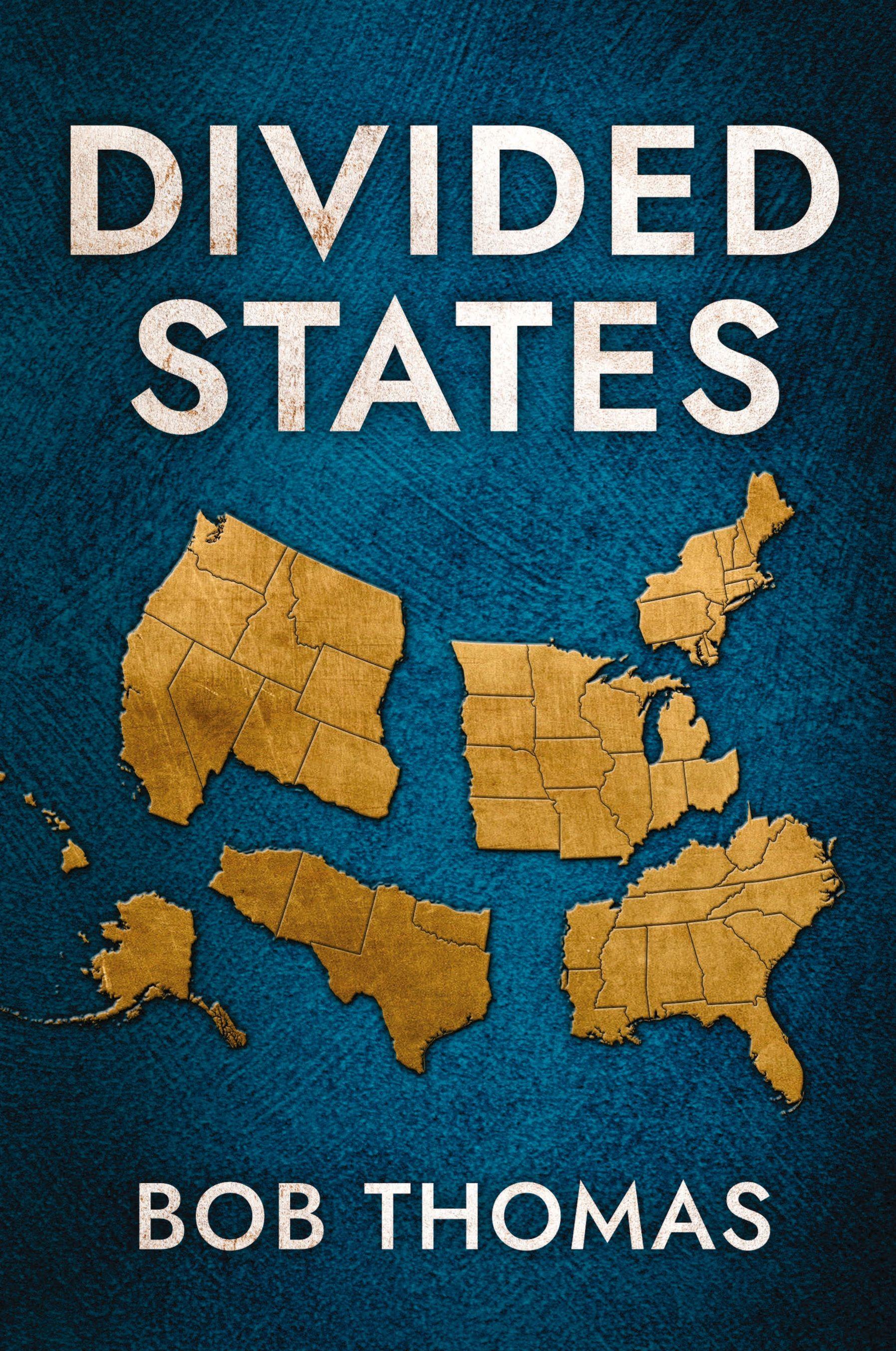 Vorderes Coverbild Divided States