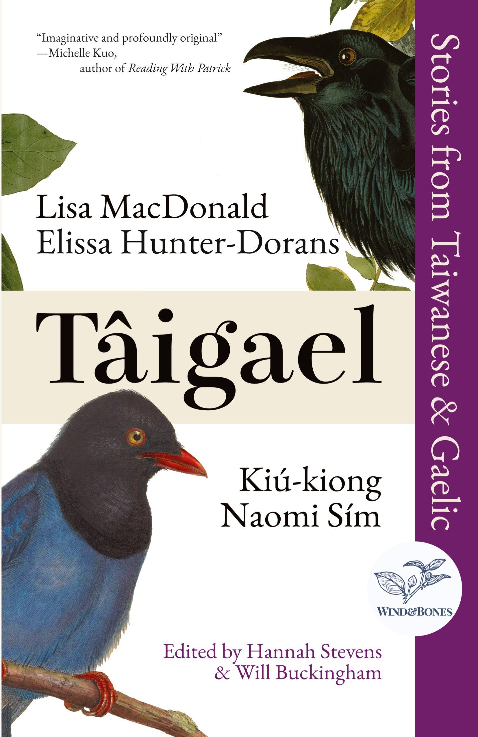 Vorderes Coverbild Tâigael