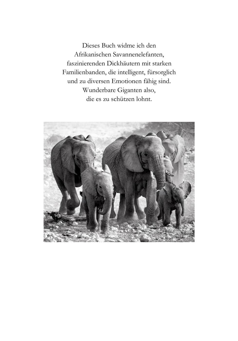 Beispielinhalt (Bild) Elefanten Ekstase